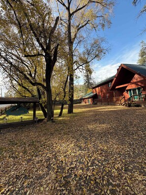 A rustic barn with a green roof, surrounded by trees with autumn leaves. - Riverfront Cabin | Deck on Rio Ruidoso, Pet (Ruidoso)