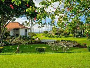 Surrounded by lush greenery and palm trees, this resort offers a serene and picturesque setting.