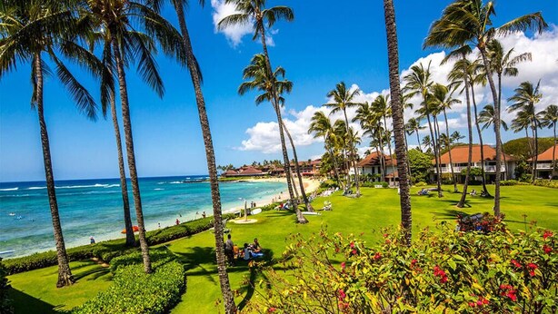 Un resort tropical con palmeras, una playa y un césped bien cuidado.