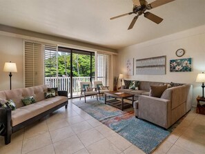 电视、DVD 播放器