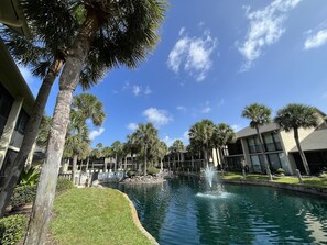 A courtyard with a fountain, palm trees, and a building with large windows.