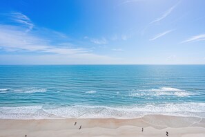 On the beach - Grand Coquina - Oceanfront - #1602 (Daytona Beach)