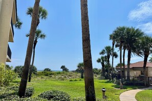 Property grounds - FREE FUN EVERYDAY!!!  Enjoy this units tropical oasis close to the pool and boardwalk! (Saint Augustine)