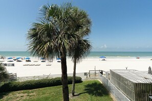 A beach with a palm tree, umbrellas, and lounge chairs. - Sand Castle III 201 - GULFFRONT SPIRAL STAIRCASE! (Indian Shores)