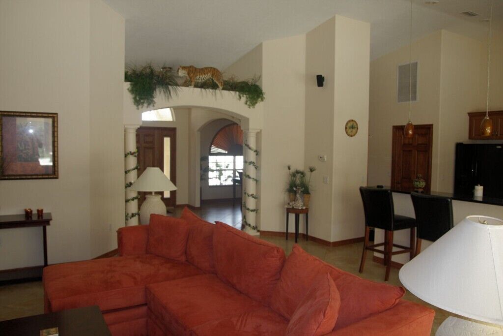 電視、DVD 播放機