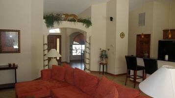 電視、DVD 播放機