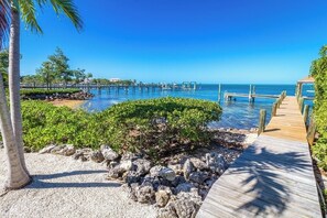 Unclassified image, 5 of 50, button