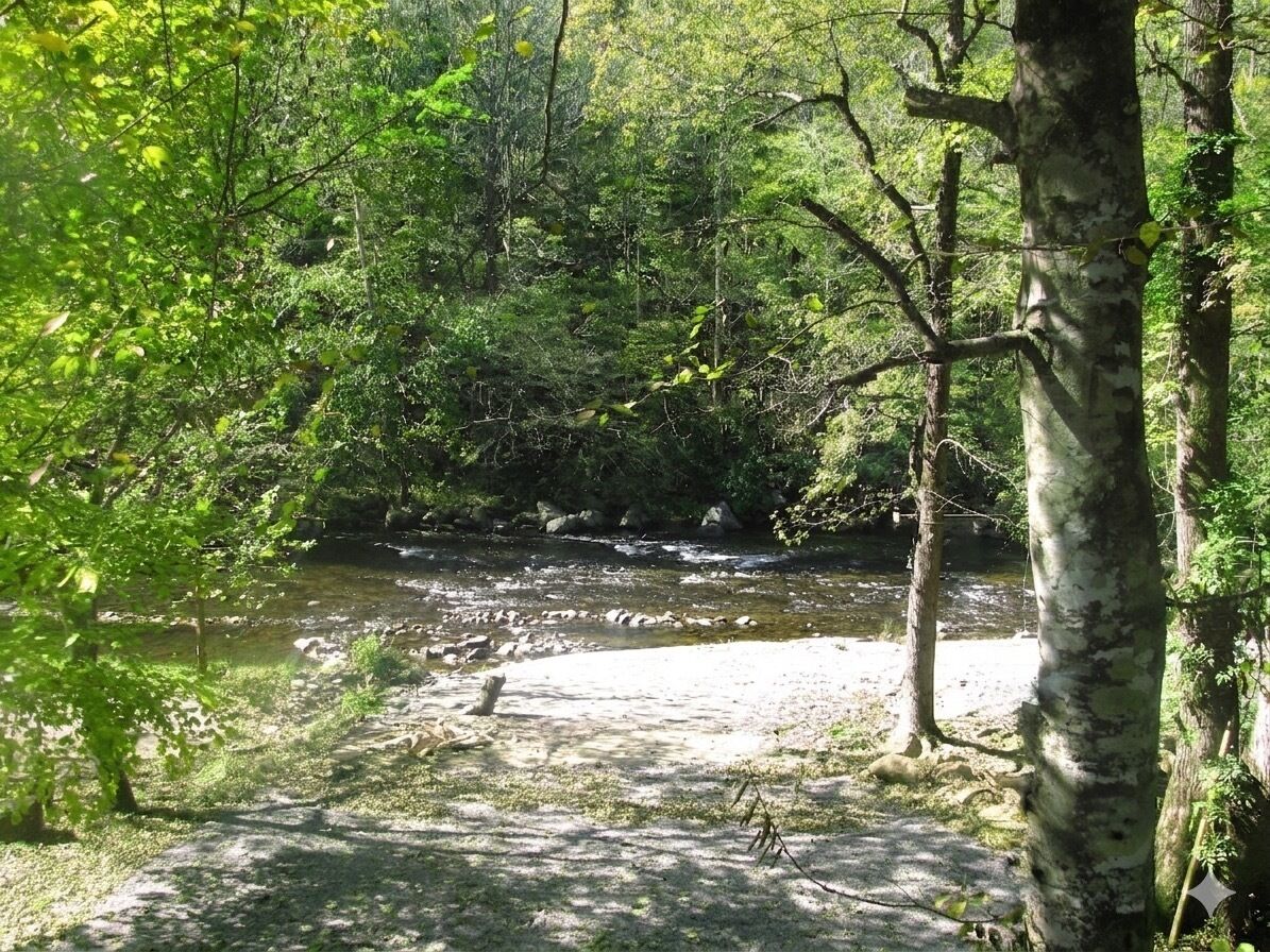 A natural setting with a river, trees, and a clear path.