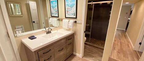A modern bathroom with a large mirror, two framed pictures, a sink, and a shower area.