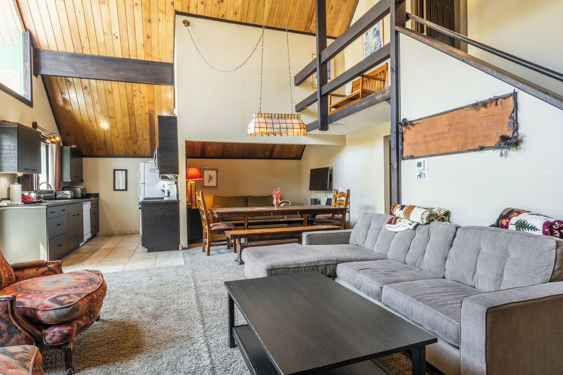 智能电视、壁炉、DVD 播放器