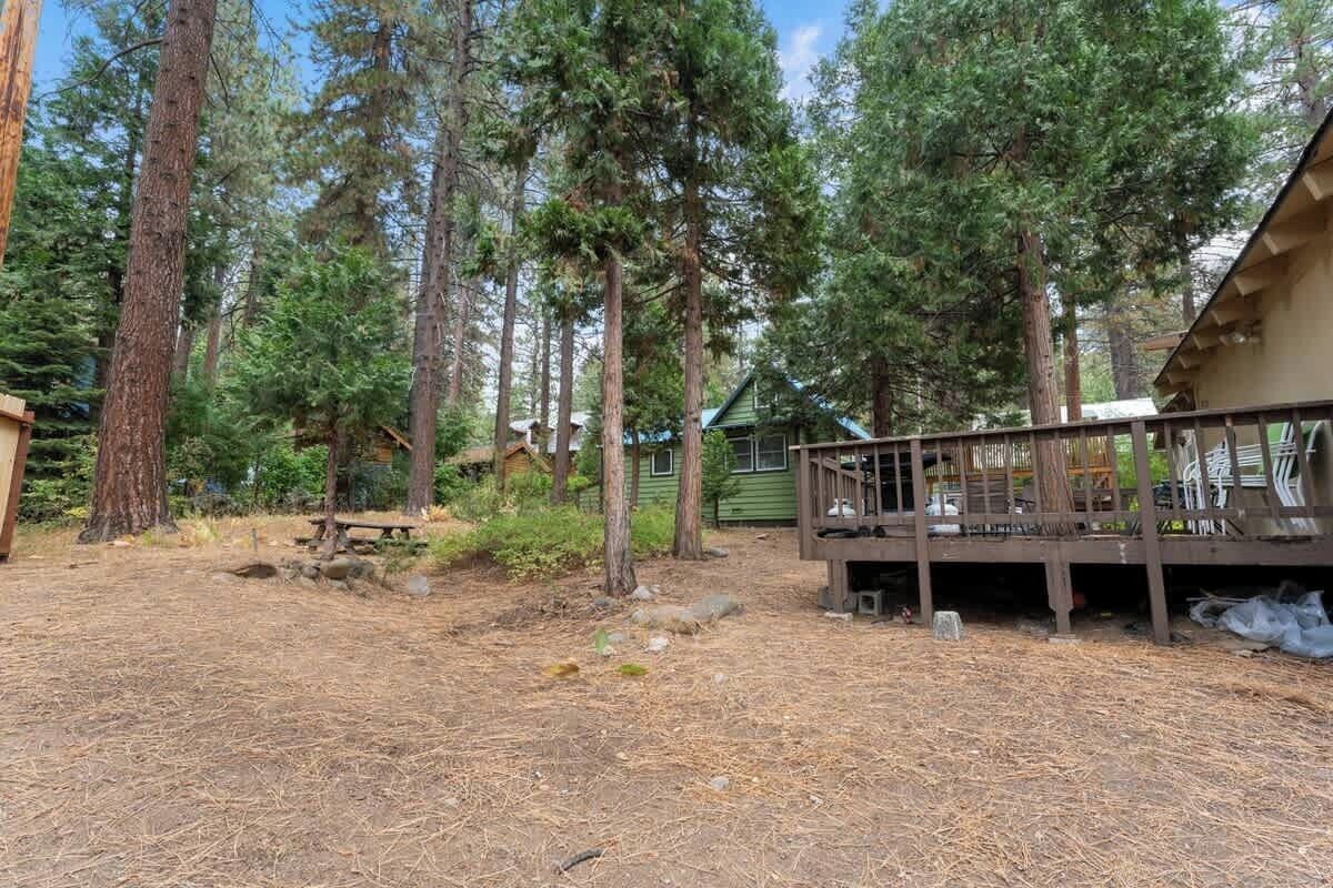 Une cabane dotée d’une terrasse, entourée de grands pins.