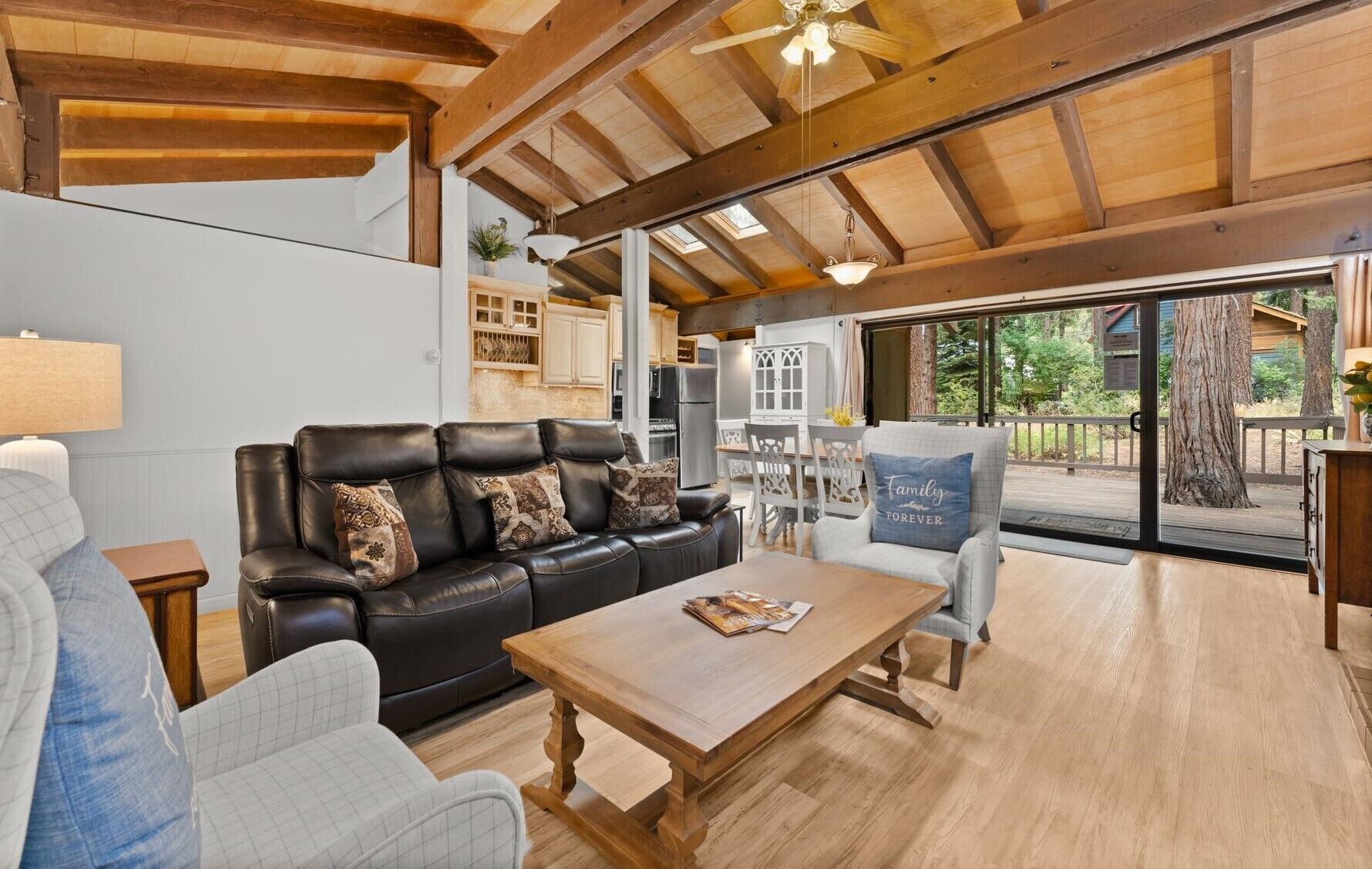 Smart TV, fireplace, DVD player, books