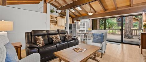 TV connectée, cheminée, lecteur de DVD, livres