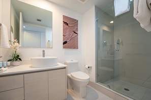 Shower, hair dryer, towels