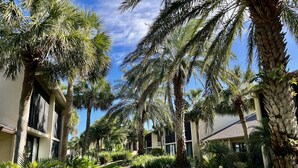 A courtyard with palm trees and a building with large windows. - Cheerful, sunny, and spacious, this condo is sure to be a hit with the entire family! (Saint Augustine)