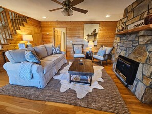 TV, fireplace, books, video library