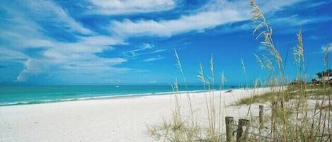 Playa en los alrededores