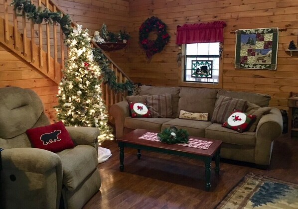 TV, fireplace, DVD player