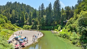 A riverside beach with umbrellas and lounge chairs, surrounded by dense forest. - Unwind on the River, Views, Beaches, Dog Friendly (Forestville)