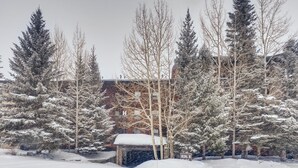 A snow-covered landscape with trees and a building. - Mountainside 2 bedroom. Only minutes from Skiing and hiking trails. (Frisco)
