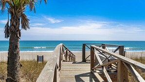 Una passerella in legno che conduce a una spiaggia, con una palma a sinistra.