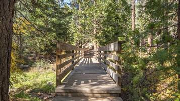 Un pont en bois situé dans une zone boisée.