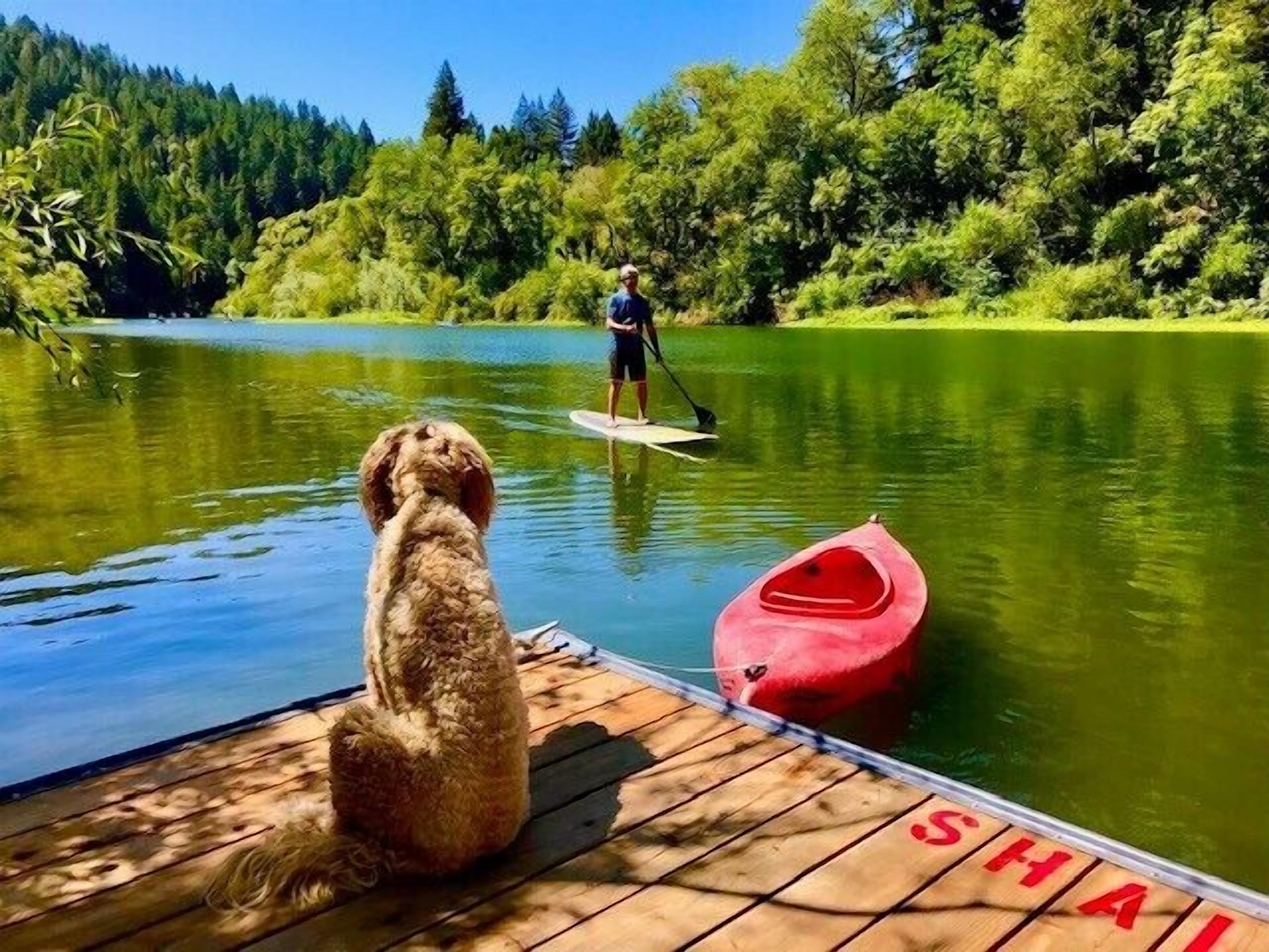 Boathouse ~ On River, Deck, Steps to Beach, Family  Dog Friendly!
