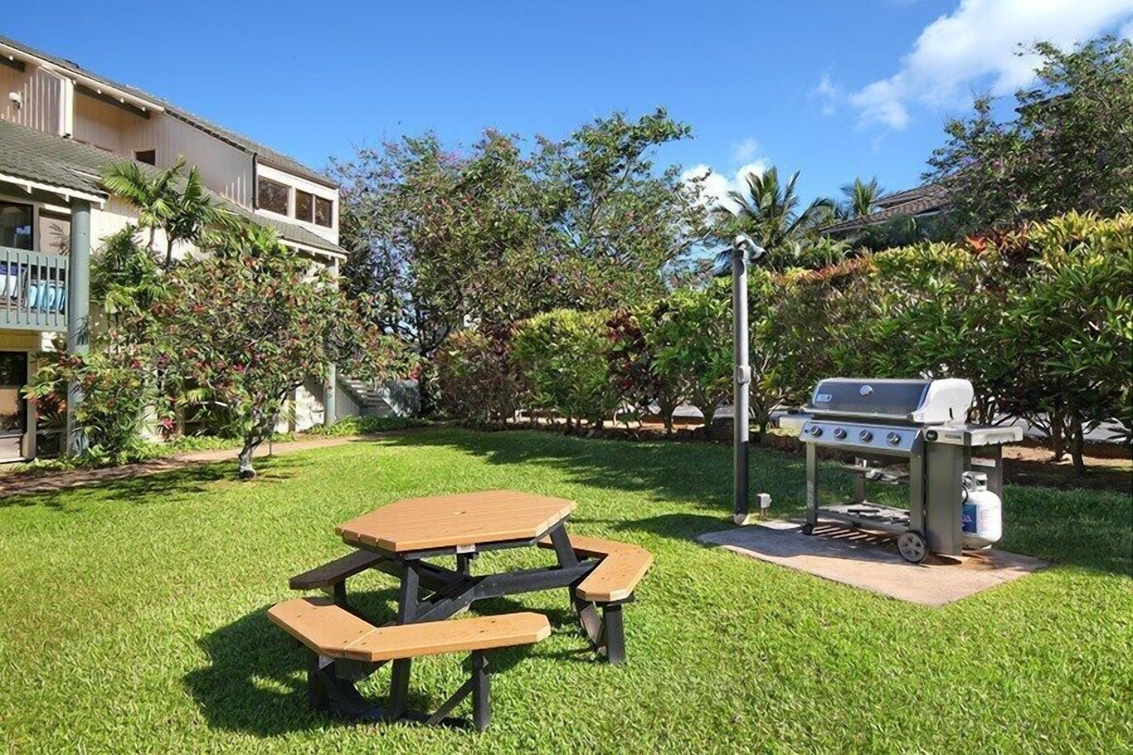 Un jardin avec une table de pique-nique et un barbecue.