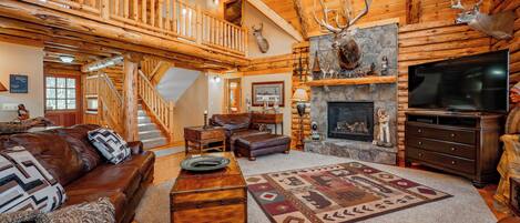 Télévision, cheminée, lecteur de DVD