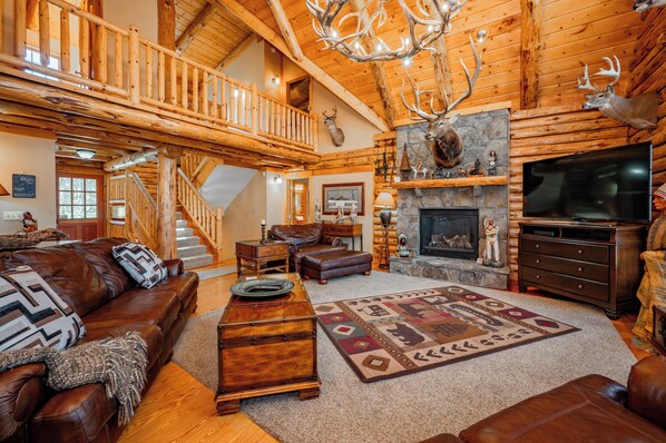 Télévision, cheminée, lecteur de DVD