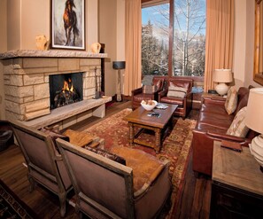 Televisión, chimenea, reproductor de DVD y estéreo 