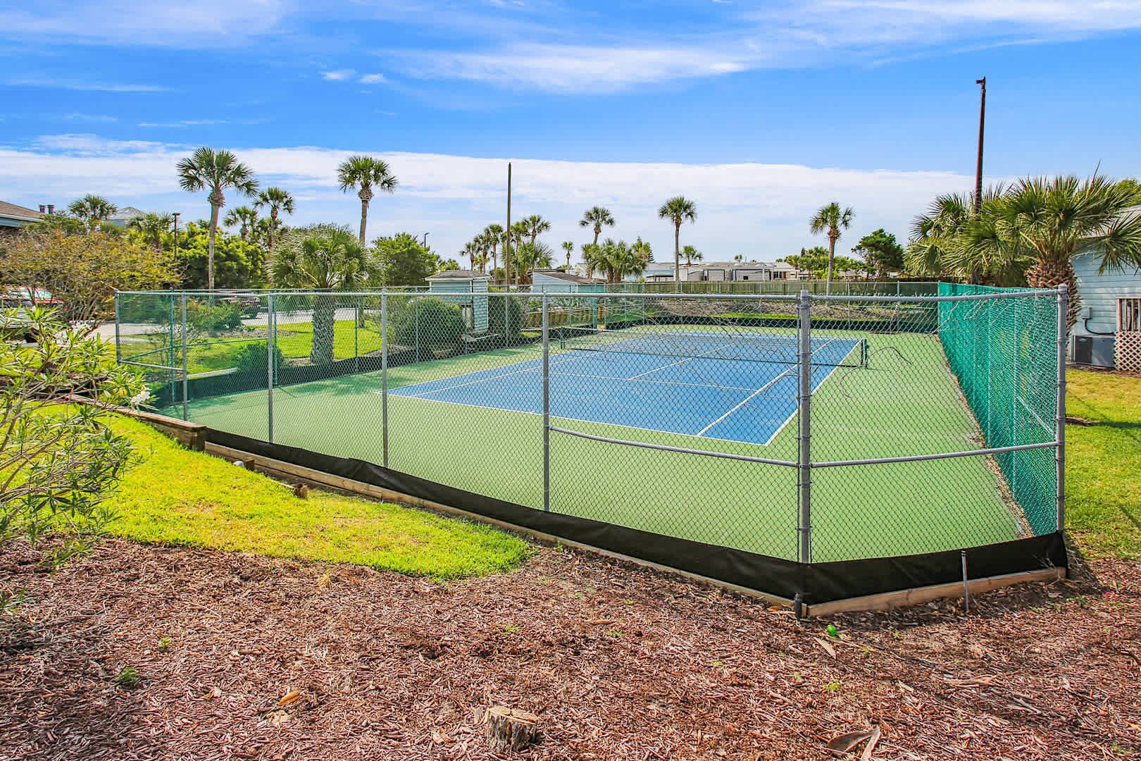 Una cancha de tenis rodeada por una cerca de malla metálica, con palmeras y un cielo despejado al fondo.