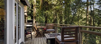 Forest, Spa, Dog Friendly, Great Location!
