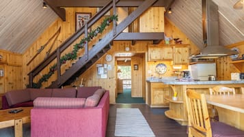 Télévision, cheminée, lecteur de DVD