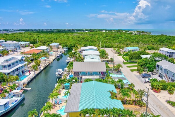 Unclassified image, 1 of 37, button