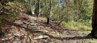 Mountain Lair - Jefferson, NC