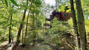 Eine Holzhütte, umgeben von dichtem Wald.