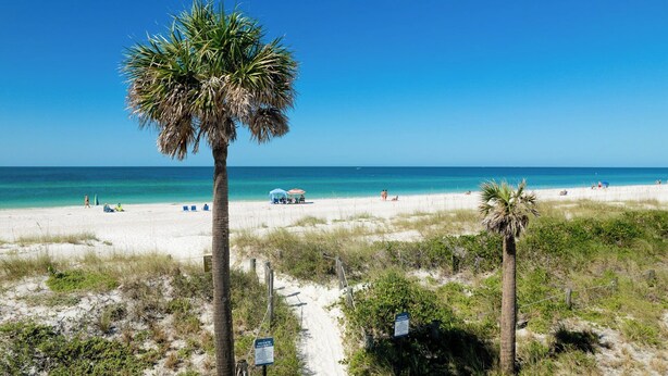A beach with white sand, palm trees, and a clear blue sky.