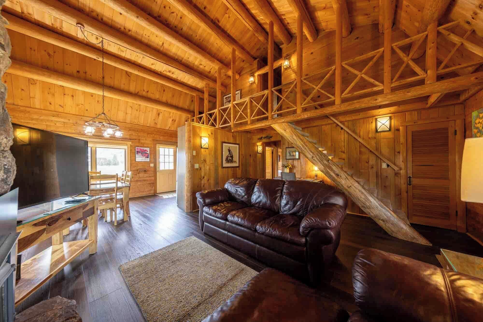 TV connectée, cheminée, lecteur de DVD