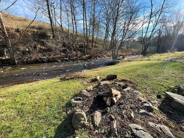A grassy area with a pile of firewood and rocks, a stream, and leafless trees in the background.