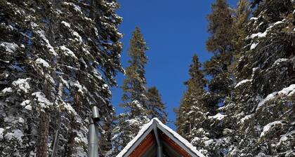 Chalet #10, Bike/ Hike in Summer at Ski in Ski Out