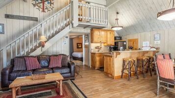 Télévision, cheminée, lecteur de DVD