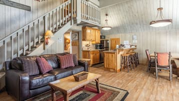 Télévision, cheminée, lecteur de DVD