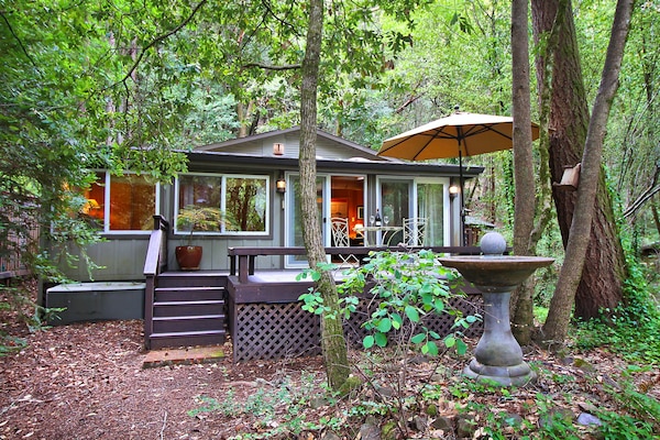 Welcome to Falling Leaf! A forested retreat on Guerneville.
