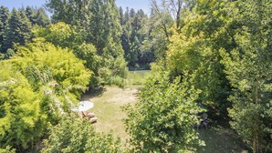 Üppiges, grünes Areal im Freien mit dichten Bäumen und blauem Himmel.