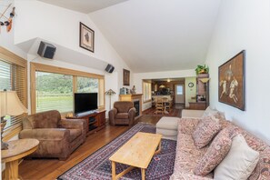 Smart TV, fireplace, DVD player, books