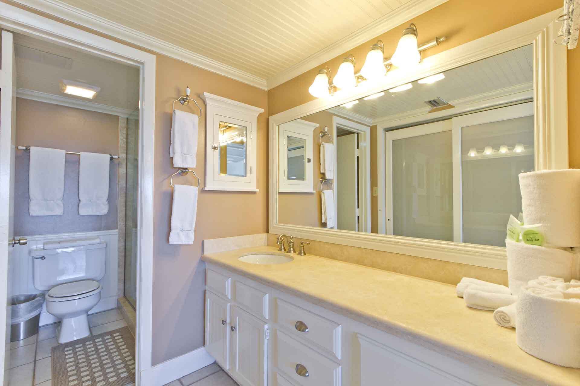 A bathroom with a toilet, sink, vanity, and a large mirror.