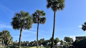 Un terrain de golf bien entretenu, agrémenté de grands palmiers, d’un étang et d’un ciel d’un bleu éclatant.