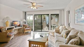 Fernseher, Arbeitsbereiche