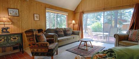 Smart TV, chimenea, reproductor de DVD y libros